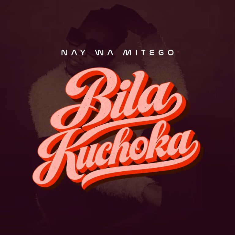 AUDIO | Nay Wa Mitego – Bila Kuchoka | Download