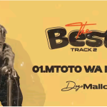 Audio | Dogo Mallo  – MTOTO WA MTU | Download